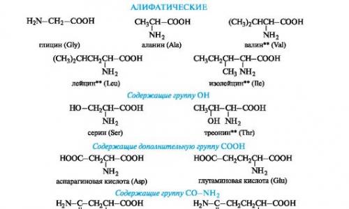 Окислительное расщепление аминокислот в химических и биохимических процессах (трансаминирование, дезаминирование и декарбоксилирование), биологическая роль продуктов этих реакций